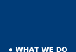 Radiance Capital: What We Do
